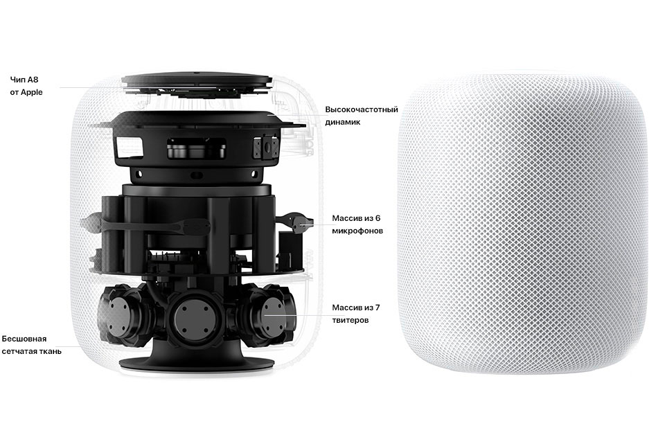 pod-back